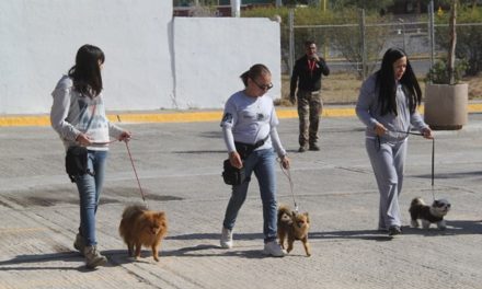 ¡Promueve Municipio de Aguascalientes tenencia responsable de mascotas!