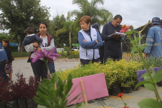 ¡Reanuda Ayuntamiento de Aguascalientes programa de donación de plantas en Vivero Municipal!