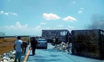 ¡Trailero de Aguascalientes murió tras choque en Nuevo León contra otro transportista que también falleció!