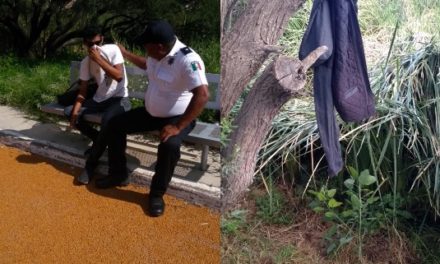 ¡Joven se colgó de la rama de un árbol con una chamarra y fue rescatado por policías municipales de Aguascalientes!