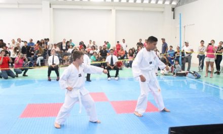¡Habrá torneo de taekwondo en Jesús María!