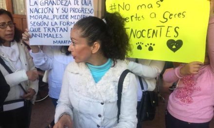 ¡Piden ciudadanos mejores condiciones al antirrábico municipal: Ana María Hernández Sánchez!