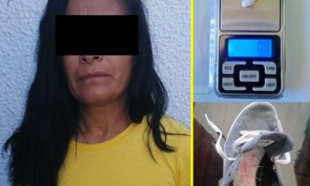 ¡Mujer fue detenida cuando intentaba ingresar droga al CERESO Aguascalientes!