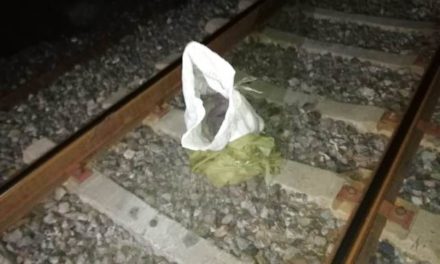 ¡Espantosa muerte de un hombre tras ser destrozado por el tren en Aguascalientes!
