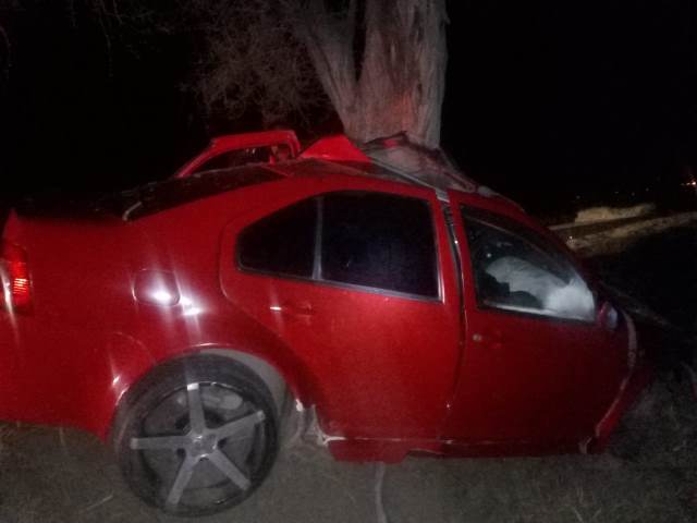 ¡Joven automovilista se mató tras estrellarse contra un árbol en Aguascalientes!