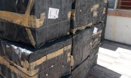 ¡Detuvieron a 6 personas con un contrabando de 1 kilo de “crystal” y 610 mil cigarros chinos en Aguascalientes!
