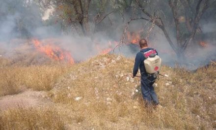 ¡Más de 700 incendios de pasto seco ha atendido Bomberos Municipales en 2020!