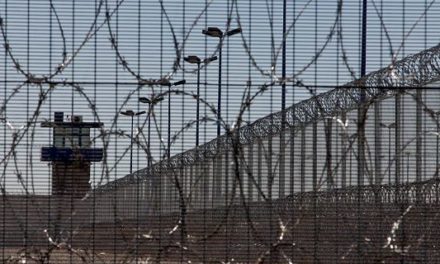 ¡Se exponen las condiciones de hacinamiento y falta de servicios en las cárceles de México a raíz de la pandemia: Causa en Común!