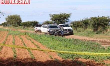 ¡Descubrieron 4 cuerpos enterrados en una fosa clandestina en Francisco R. Murguía!