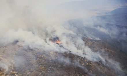 ¡Autoridades estatales se reportan listas para atender incendio a 8 kilómetros de Aguascalientes: Julio Medina!