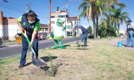 ¡Con resultados celebra el Municipio de Aguascalientes el Día Mundial del Medio Ambiente!
