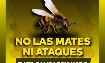 ¡Municipio de Aguascalientes emite recomendaciones por incremento de enjambres de abejas!