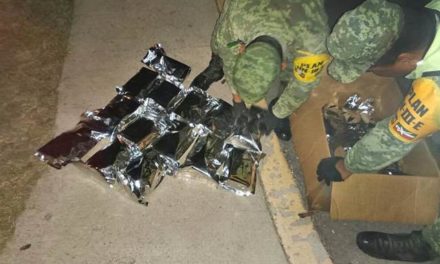 ¡Ejército Mexicano decomisó más de media tonelada de droga en Aguascalientes!