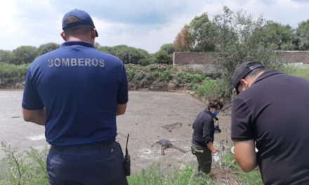 ¡Hallaron a un hombre muerto y putrefacto en un estanque en Aguascalientes!