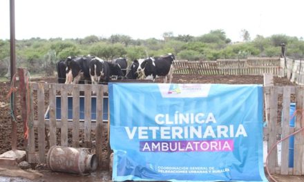 ¡Reactiva Municipio el programa de Clínica Veterinaria Ambulatoria!