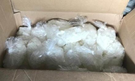 ¡Golpe de la SSPE al narcotráfico en Aguascalientes: detuvo a pareja con 22 kilos de “crystal”!