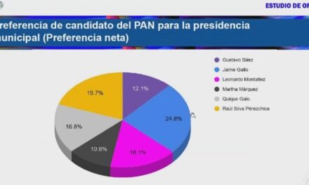 ¡Gallo, Silva Pérezchica y García López los punteros para presidente municipal de Aguascalientes: Jael Pérez!