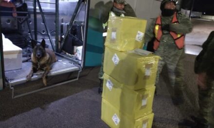 ¡Militares aseguraron cargamento de más de 22 kilos de marihuana en Aguascalientes!