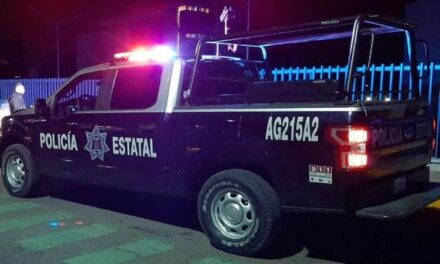¡Joven automovilista murió tras estrellarse contra un árbol en Aguascalientes!