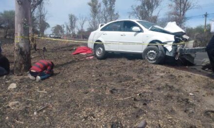 ¡Mujer murió tras estrellar su auto contra un árbol en Aguascalientes!