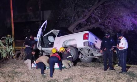 ¡Joven se mató tras estrellar su camioneta contra un árbol en Aguascalientes!