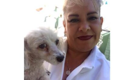 ¡PVEM propone la creación de hospitales para mascotas: Coco López!