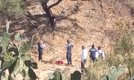 ¡Hombre se mató ahorcándose en un árbol en Aguascalientes!