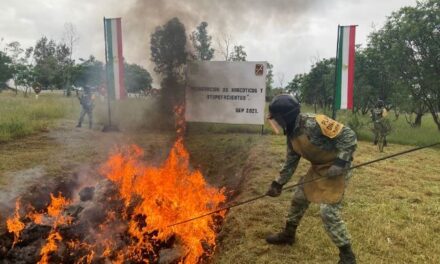 ¡FGR y SEDENA incineraron casi media tonelada de drogas en Aguascalientes!