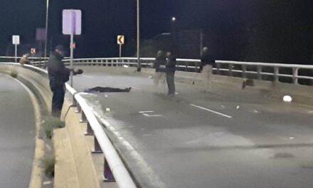 ¡Motociclista murió tras accidentarse en el puente Bicentenario en Aguascalientes!