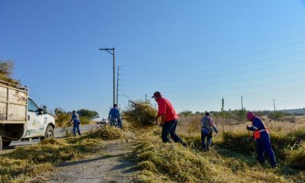 ¡Presidencia Municipal intensifica limpieza y rehabilitación en área natural protegida de competencia municipal “Cobos”!
