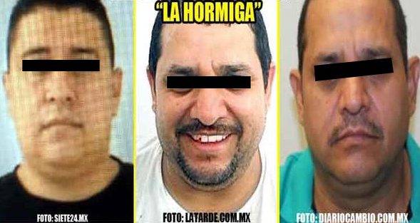¡Detienen a «La Hormiga» jefe de plaza del CJNG de Zacatecas en Aguascalientes!