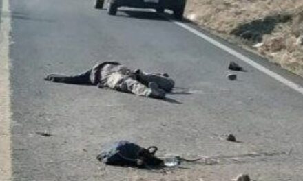 ¡Trailero de Aguascalientes mató a dos motociclistas en Guanajuato!