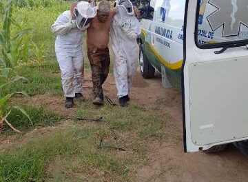 ¡Jornalero murió tras recibir más de 100 picaduras de abejas en Aguascalientes!