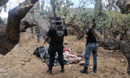 ¡SSP y Policía Municipal desmantelaron campamento utilizado por grupo delincuencial en Ojocaliente!