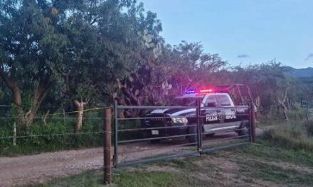 ¡Hombre se mató colgándose de la rama de un árbol en Aguascalientes!